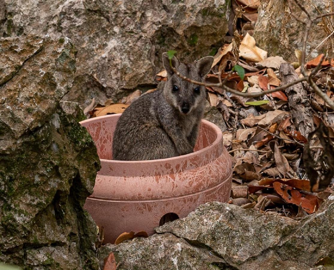 Capricorn Caves Hotel Rockhampton Luaran gambar